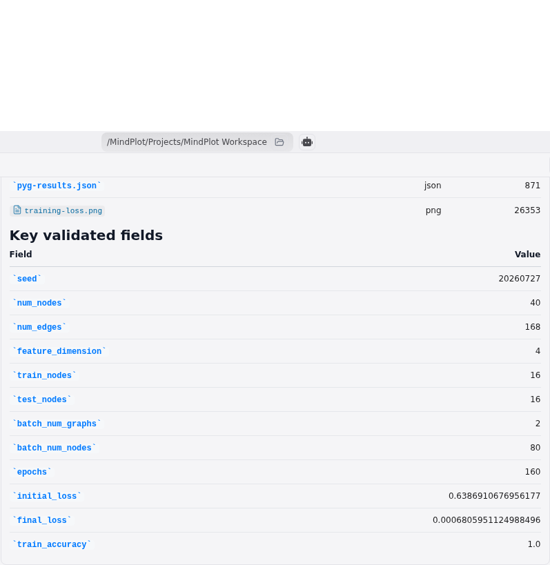 Focused conversational report for the validated torch-geometric workflow