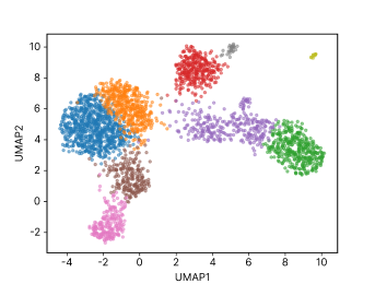 A UMAP dimensionality-reduction cluster plot of single-cell transcriptomics: on a 2D plane, multiple colored cell populations each form their own cluster.